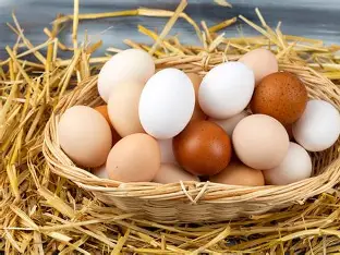 1 docena huevos caceros